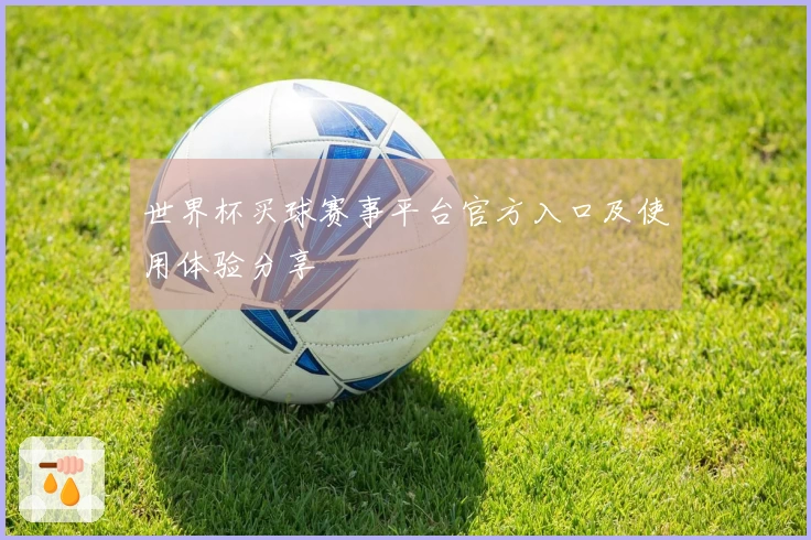 世界杯买球赛事平台官方入口及使用体验分享