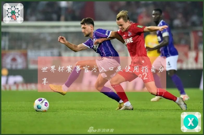 世界杯赛事官方入口及使用指南分享