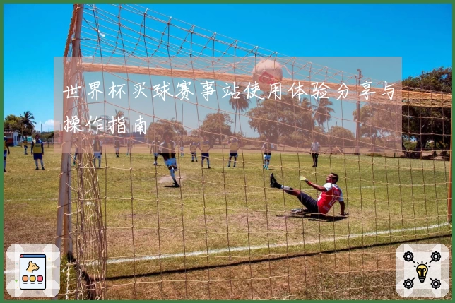 世界杯买球赛事站使用体验分享与操作指南