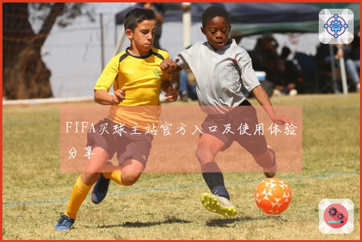 FIFA买球主站官方入口及使用体验分享