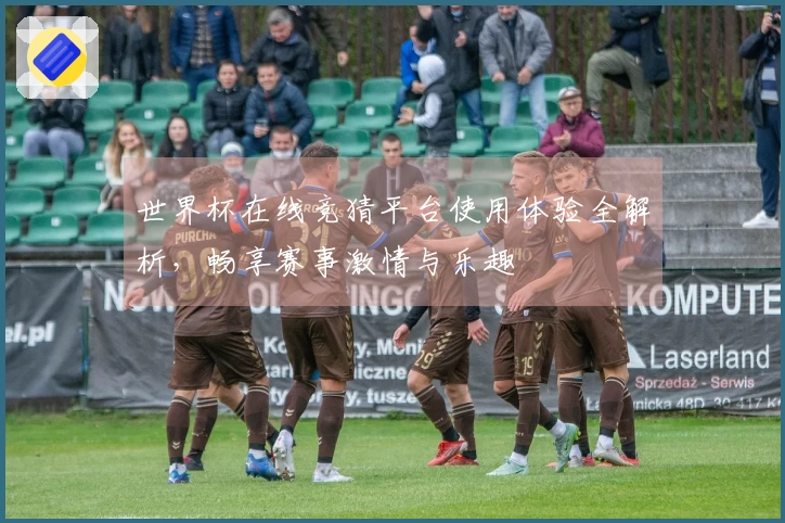 世界杯在线竞猜平台使用体验全解析，畅享赛事激情与乐趣