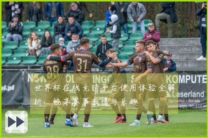 世界杯在线竞猜平台使用体验全解析，畅享赛事激情与乐趣